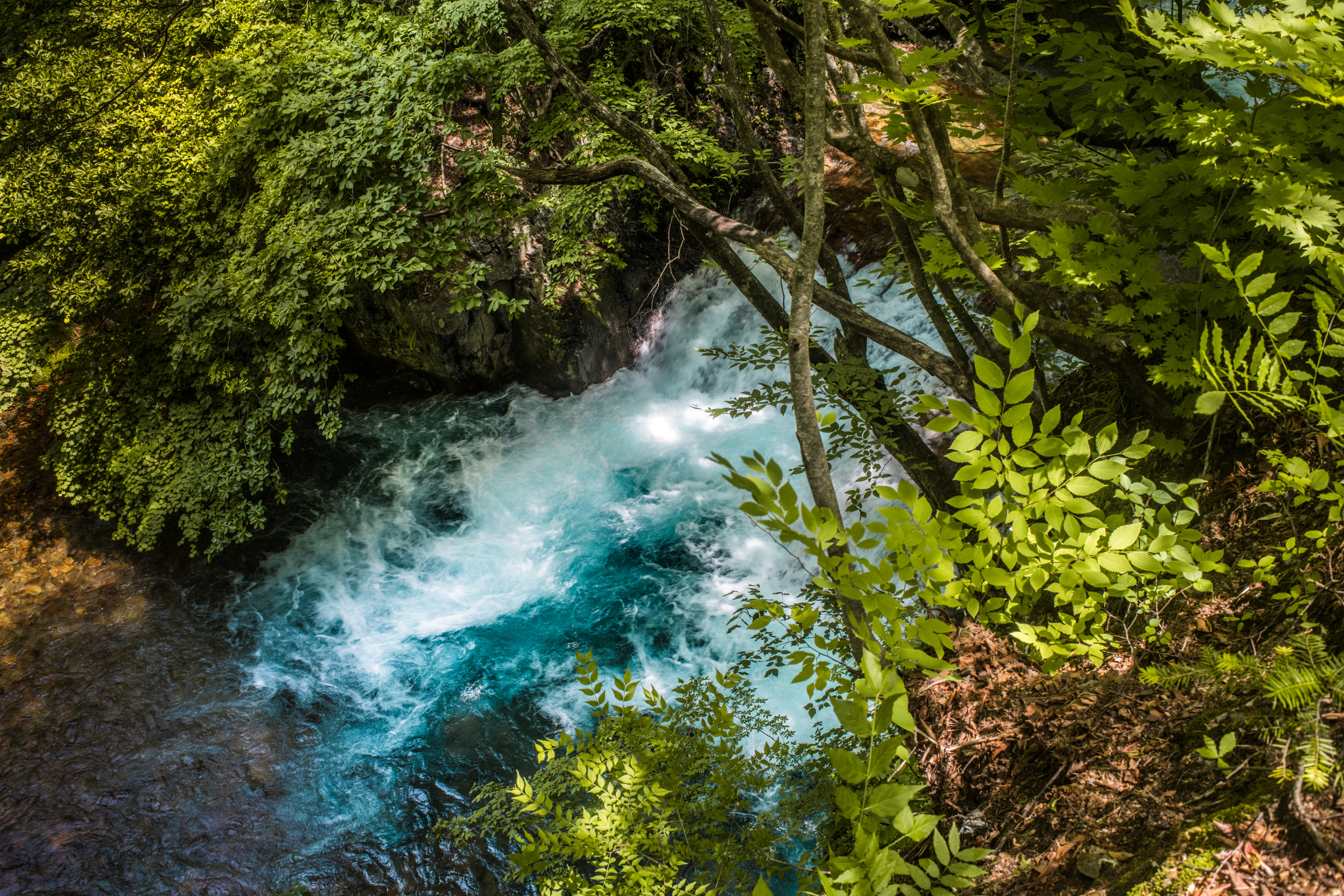ise-shima national park (3).webp